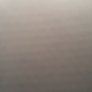 Meet your Posher, Jodie